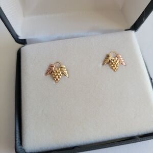 Elegant 12k Gold Stud Earrings